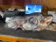 Jaguar XF Series X250 2007-2010 L Headlight