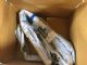 Ford Ranger 2wd PX4 2022-on L Roof Air Bag