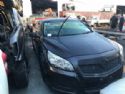Holden Commodore Other